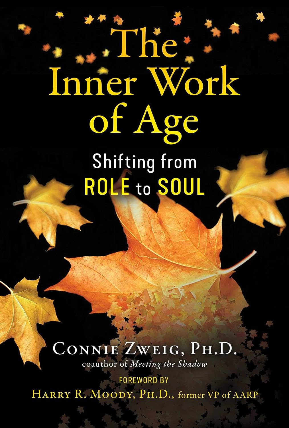 Book cover of 'The Inner Work of Age' with autumn leaves on a black background