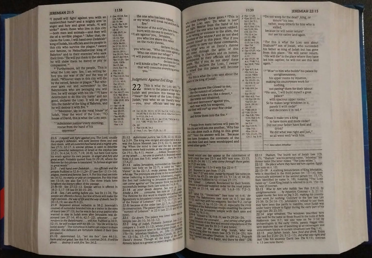NIV Compact Study Bible