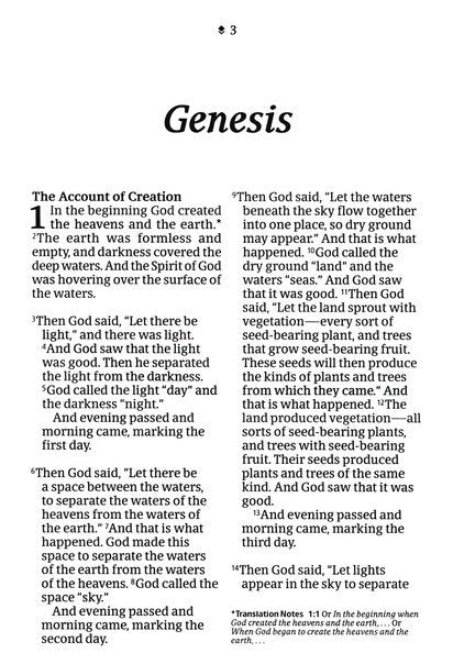 Text from the book of Genesis describing the account of creation.