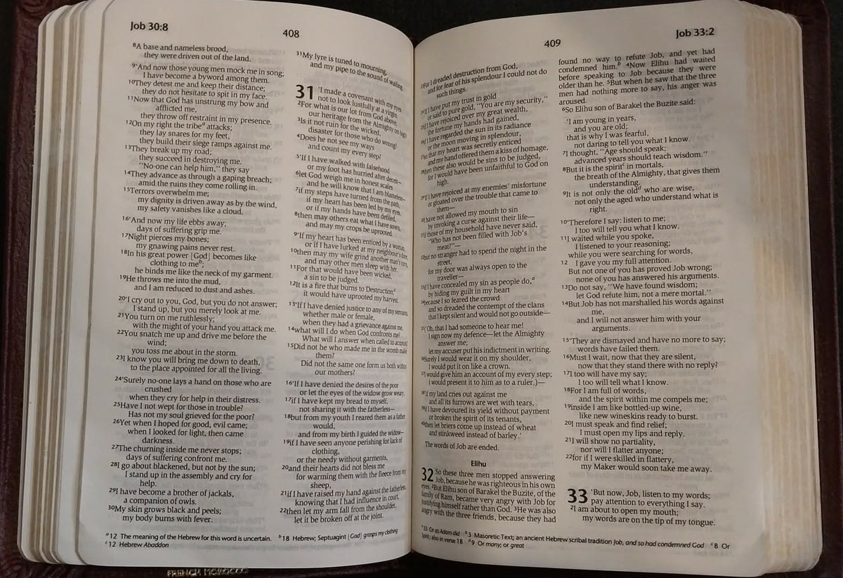TNIV Holy Bible, Compact Size, Burgandy