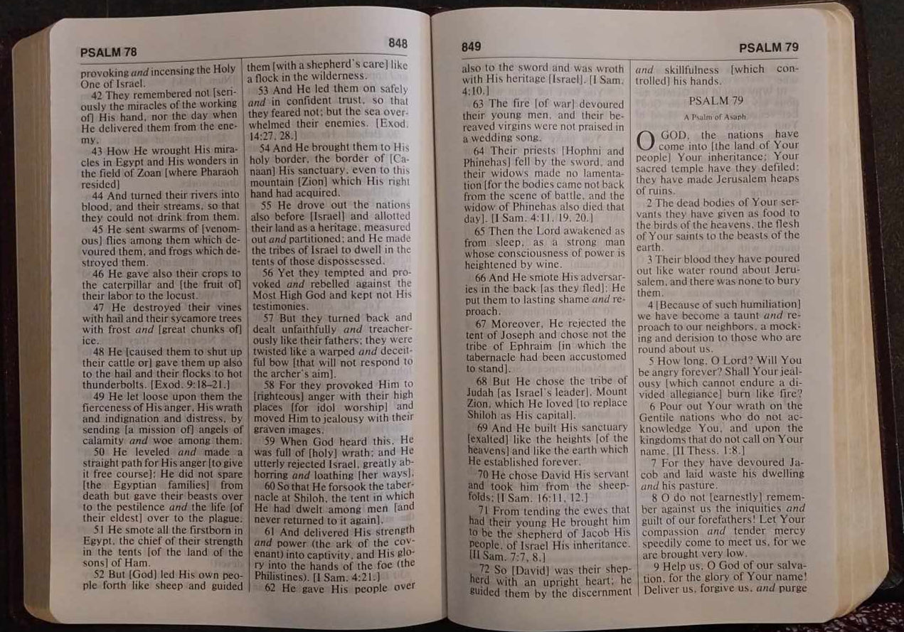The Amplified Bible, Large Print image 1