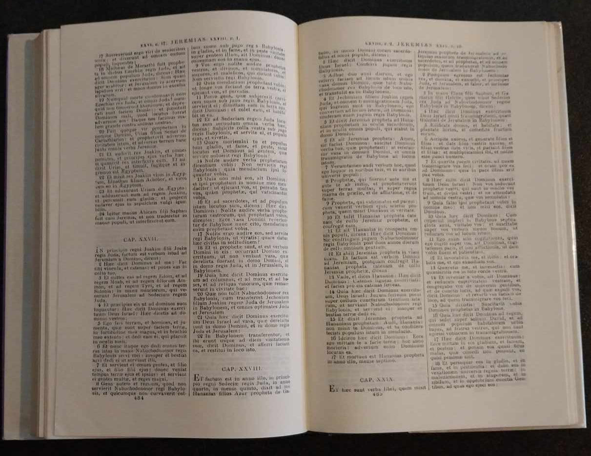 Biblia Sacra Latina image 1