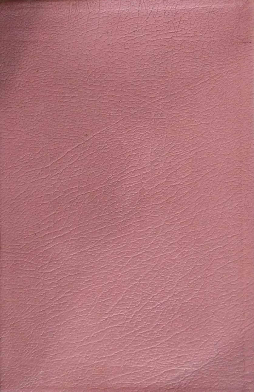 NASB New Open Bible Study Edition, with Thumb Index image 0