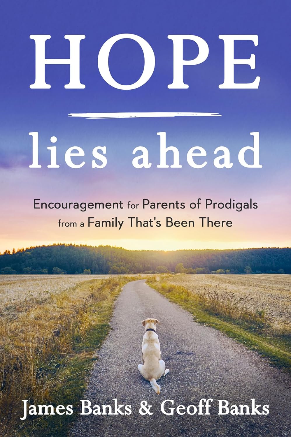 Hope Lies Ahead by James Banks and Geoffrey Banks image 0