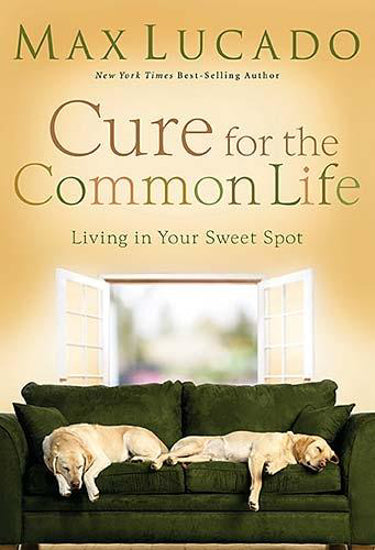 Cure for the Common Life by Max Lucado image 0