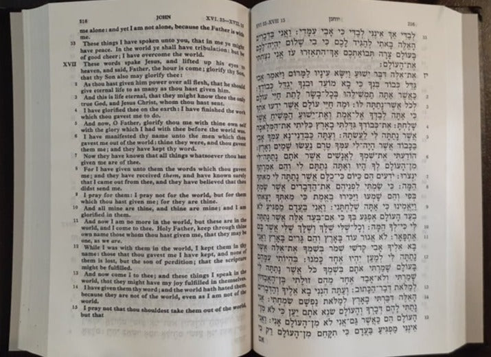 The New Testament In Hebrew and English image 1
