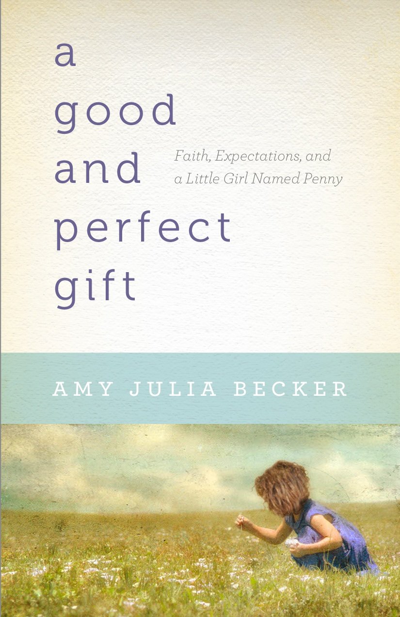 A Good and Perfect Gift by Amy Julia Becker image 0