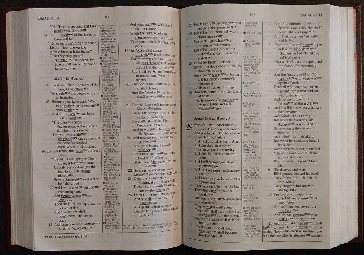NASB Hebrew-Greek Key Study Bible image 2