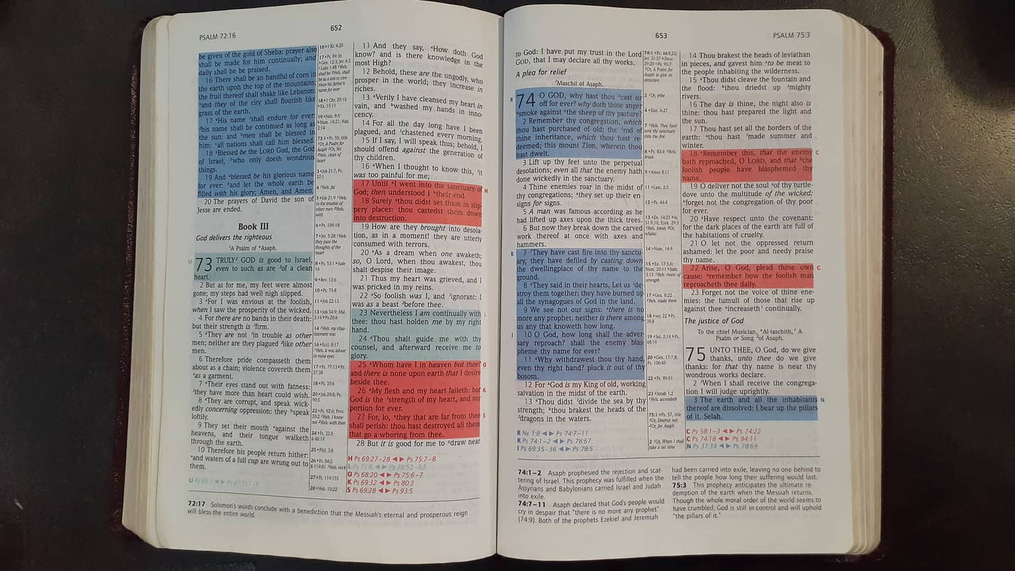 KJV Prophecy Marked Reference Study Bible image 2