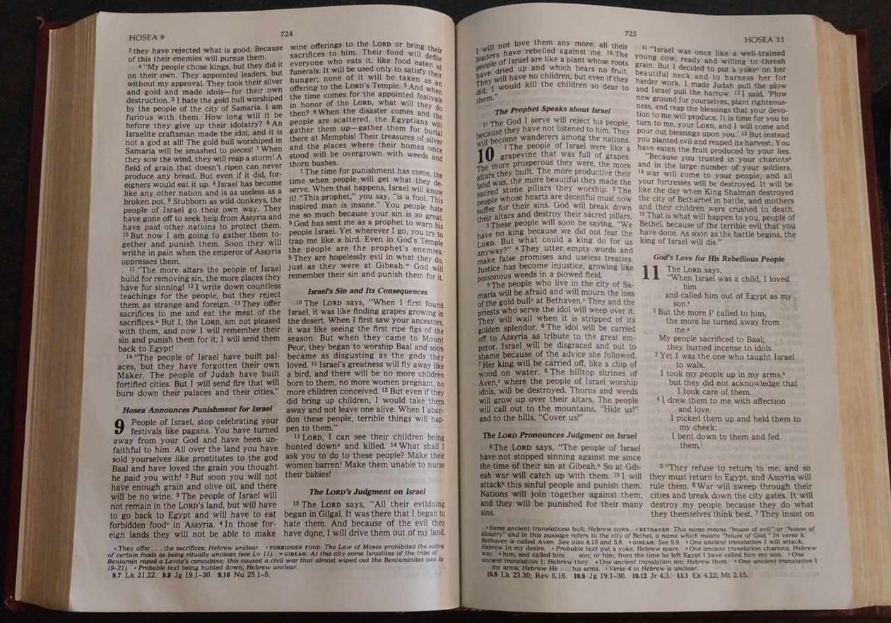 Good News Study Bible image 1