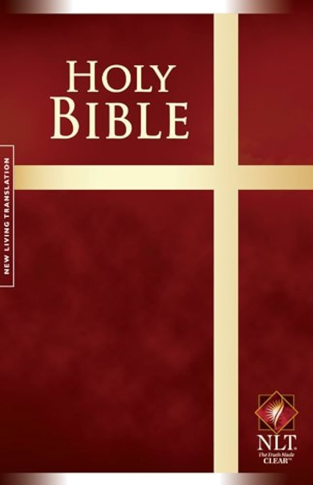 NLT Holy Bible, Hardcover image 0