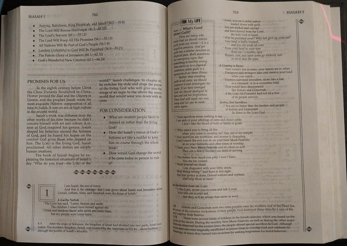 Holy Bible: CEV The Promise Study Edition