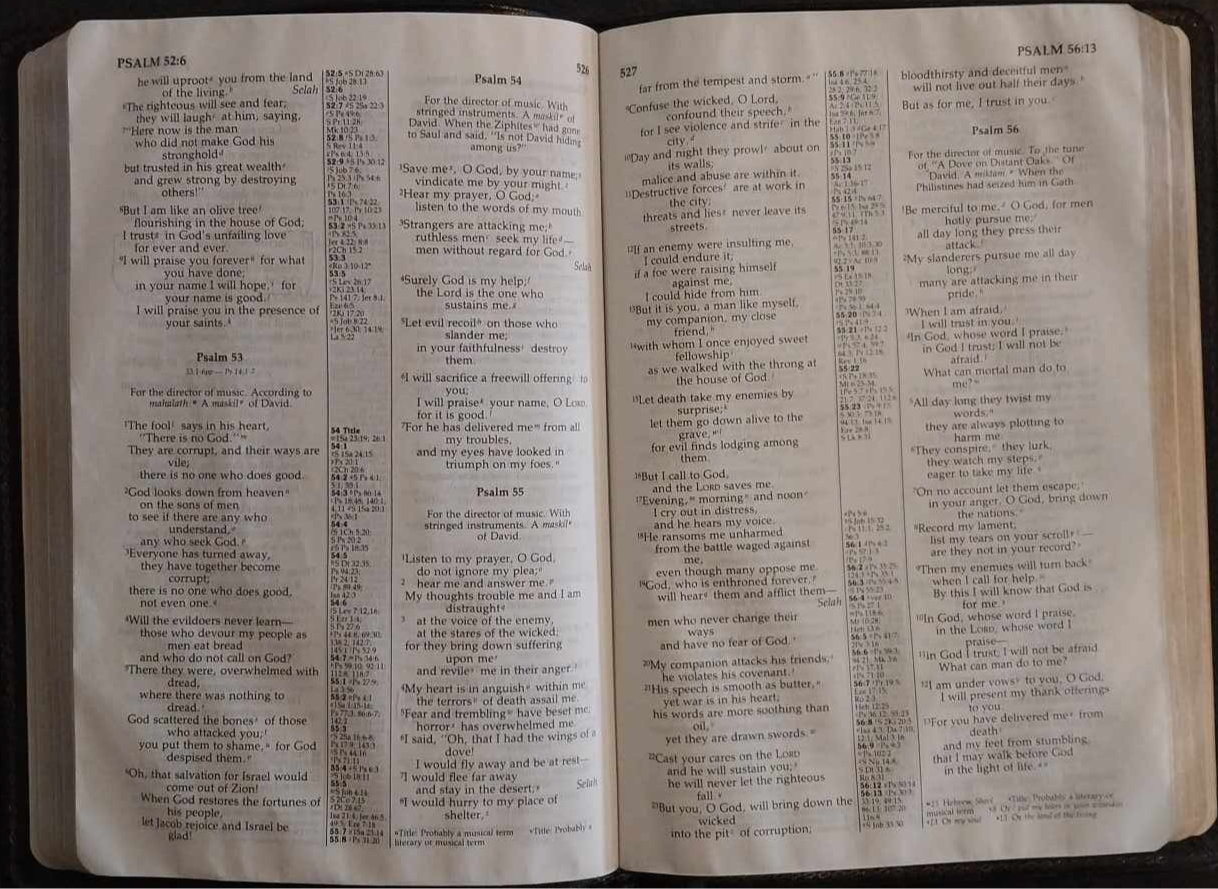 NIV Holy Bible, Reference Edition image 1