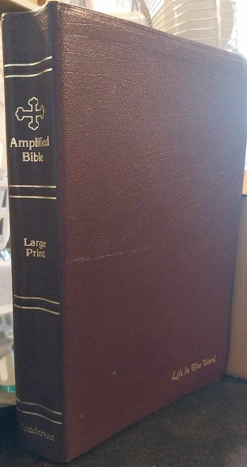 The Amplified Bible, Large Print image 0
