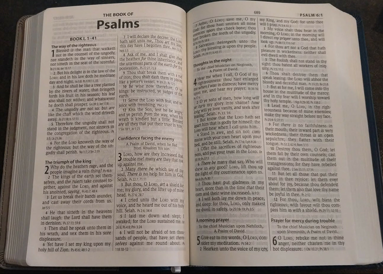 KJV Holy Bible, Personal Size, Large Print, Reference Edition