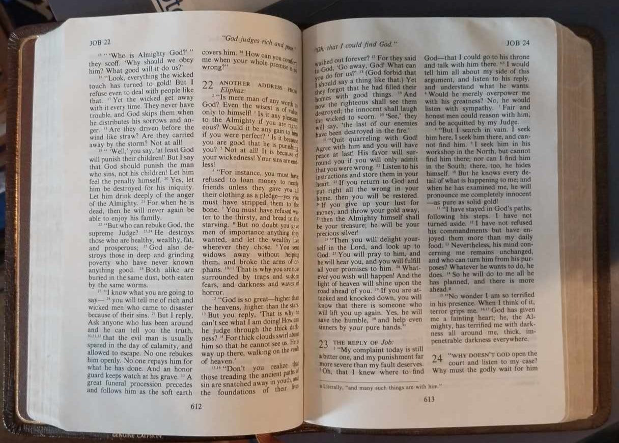 Living Bible, Brown leather image 1