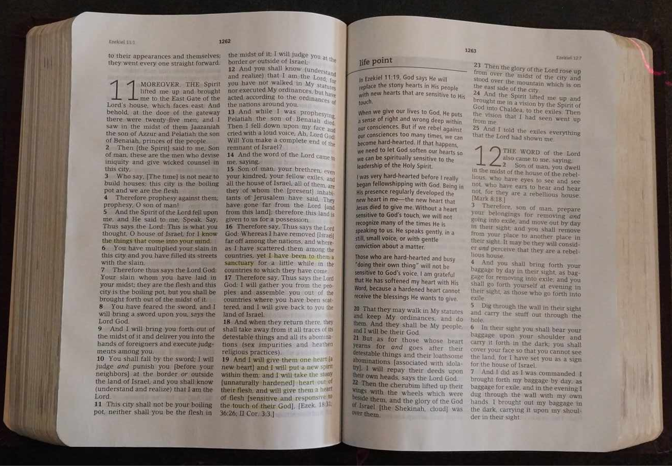 The Everyday Life Bible: Amplified Version by Joyce Meyer image 1