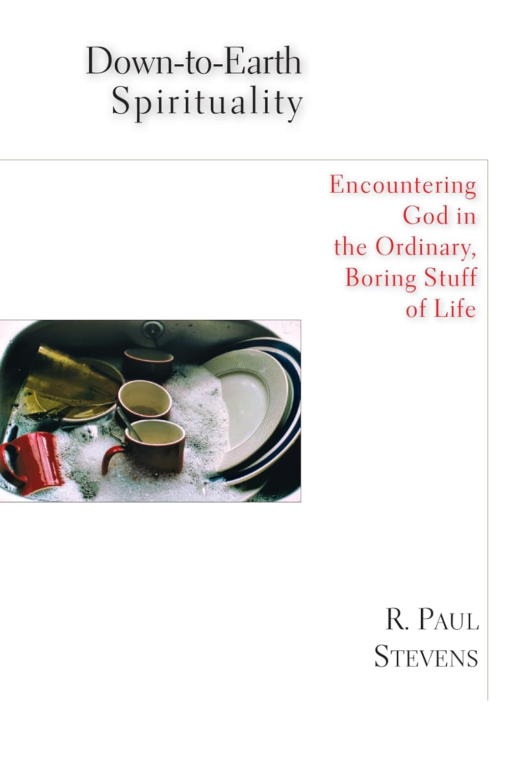 Down-To-Earth Spirituality by R. Paul Stevens image 0