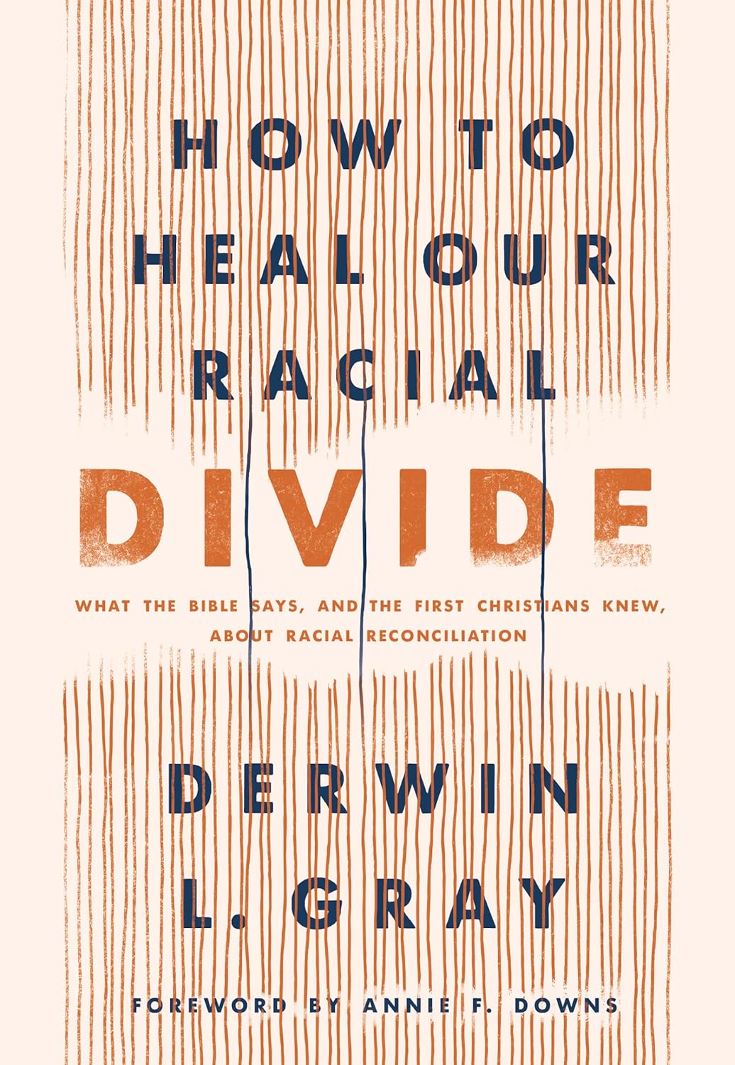 How to Heal Our Racial Divide by Derwin L. Gray image 0