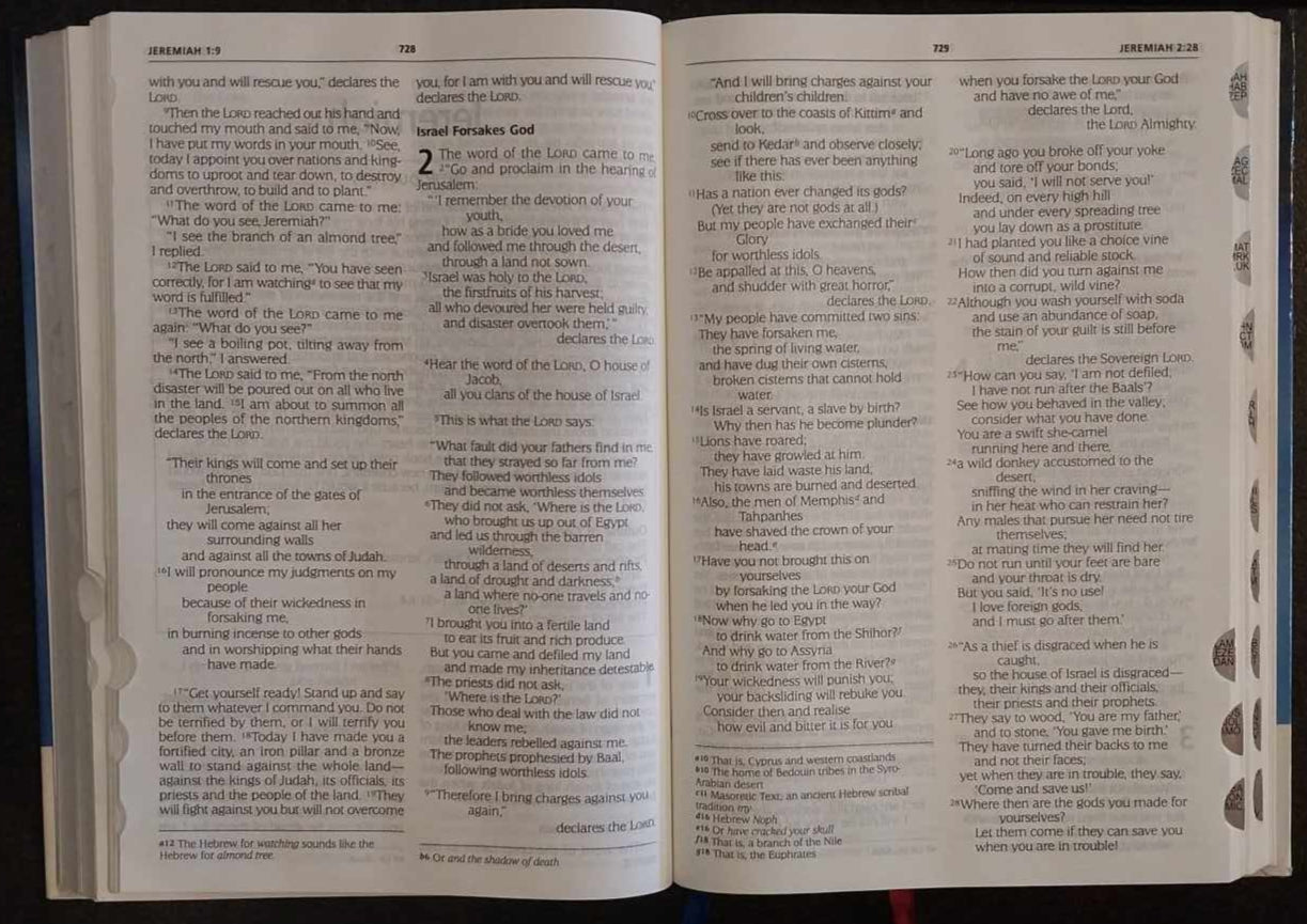 NIV Holy Bible with Bible Study Resources, Large Print image 1