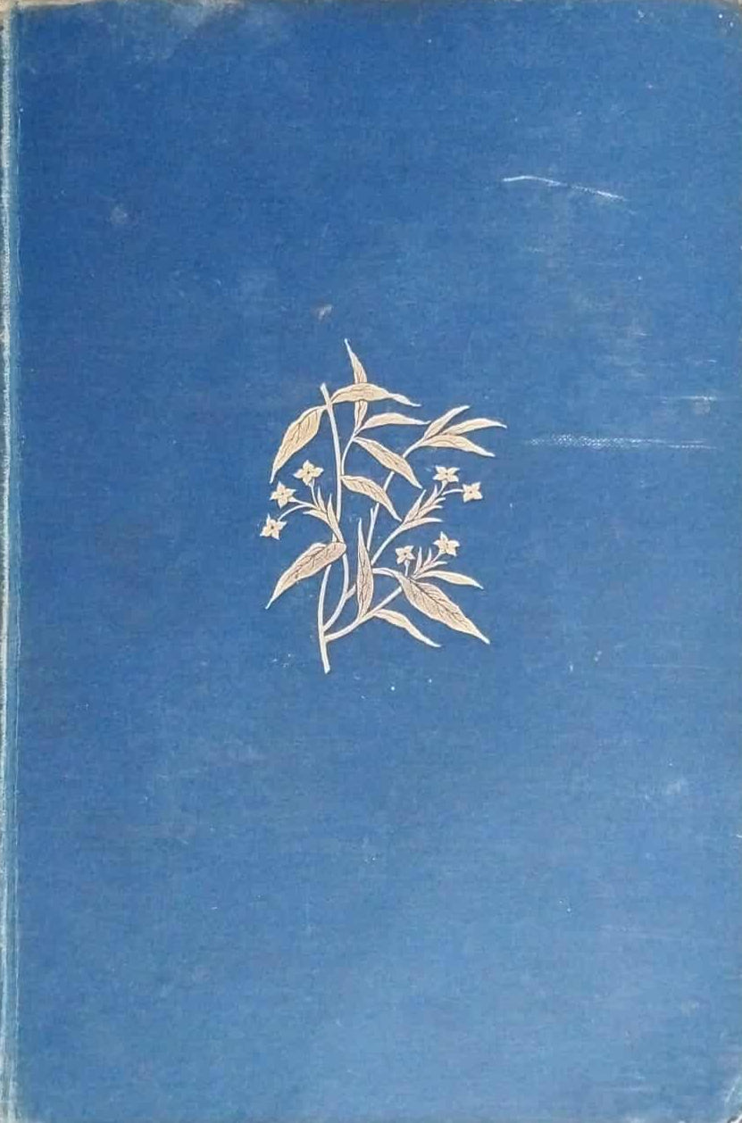 John G. Paton: An Autobiography image 0