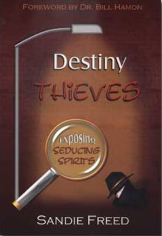 Destiny Thieves by Sandie Freed image 1