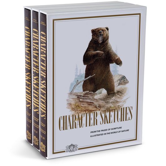 Character Sketches: From the Pages of Scripture, 3 Volume Set image 0