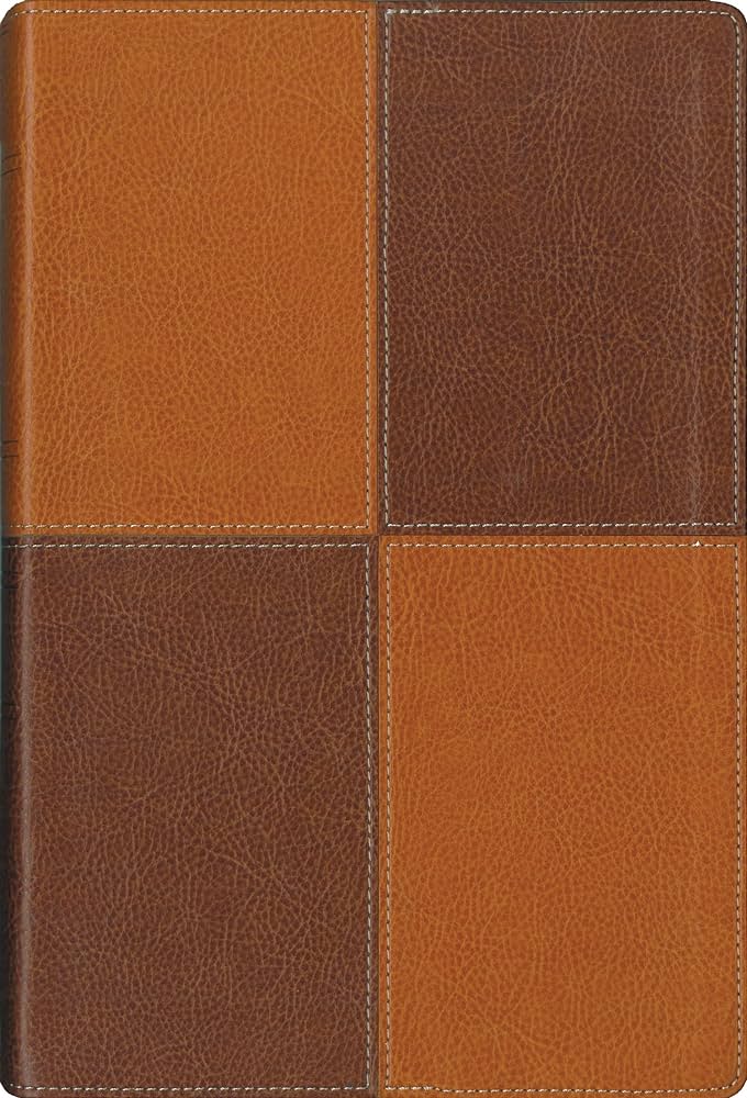NIV Holy Bible, Thinline Reference Bible, Large Print image 0