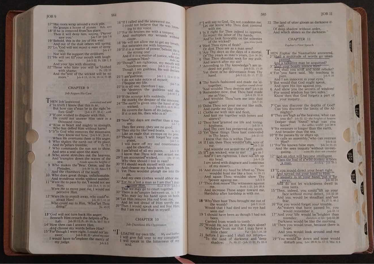 NASB New Open Bible Study Edition, with Thumb Index image 1
