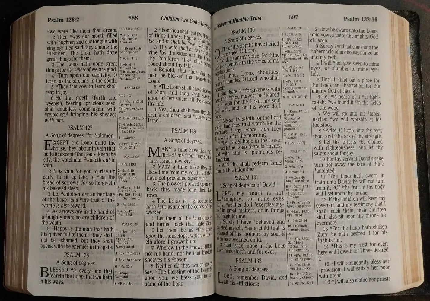 KJV Giant Print Bible, Centre Column Reference Edition