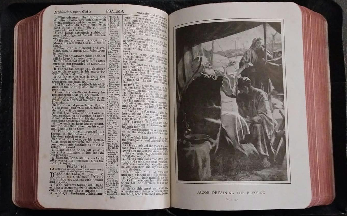 KJV Holy Bible, Illustrated