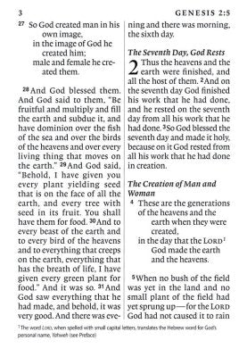 ESV Super Giant Print Bible--imitation leather, brown/cordovan