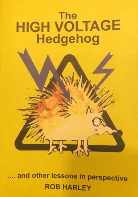 High Voltage Hedgehog by Rob Harley
