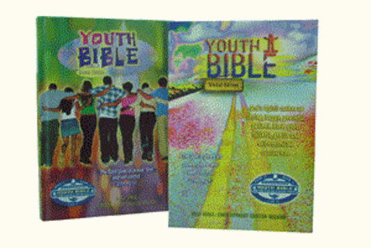 CEV Youth Bible Global Edition (Hardcover)