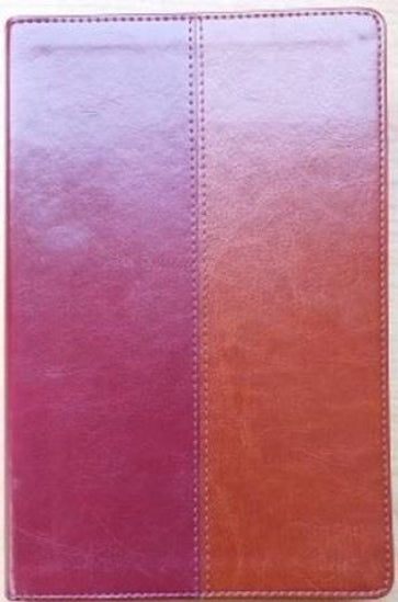 NLT Bible Tan and Burgundy Flexitone by BSNZ