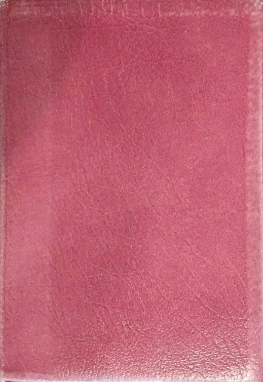 Good News Bible, Genuine Leather image 0