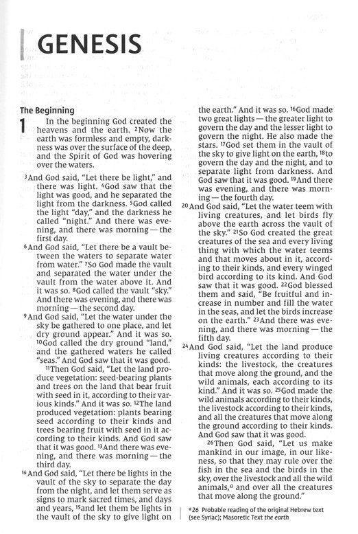 NIV Thinline Bible, Large Print--soft leather-look, floral, zippered