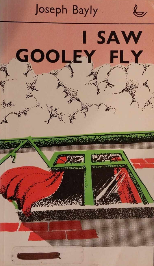 I Saw Gooley Fly by Joseph Bayly image 0