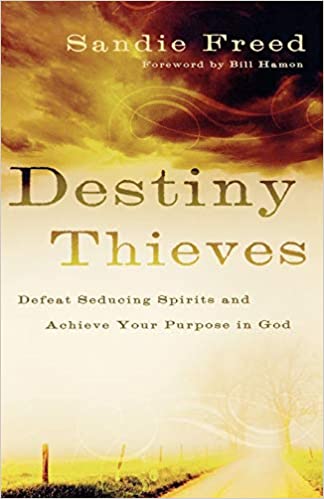 Destiny Thieves by Sandie Freed image 0