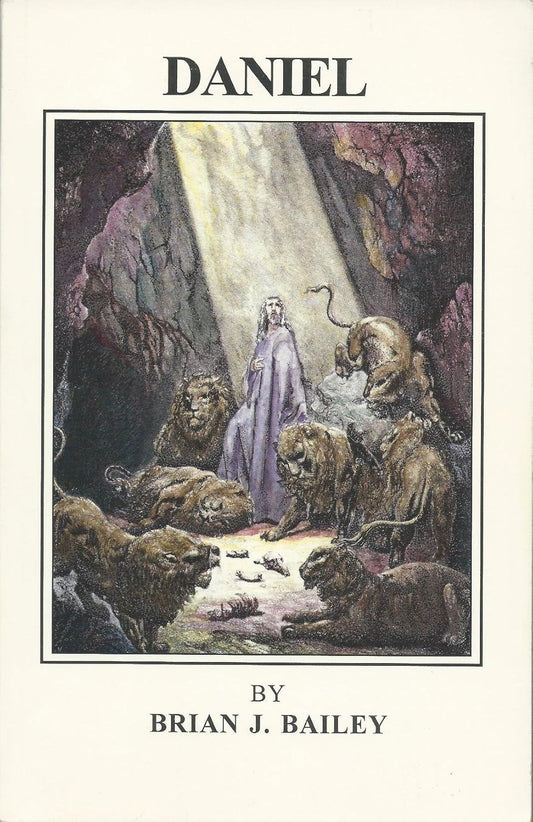 Daniel by Brian J. Bailey image 0