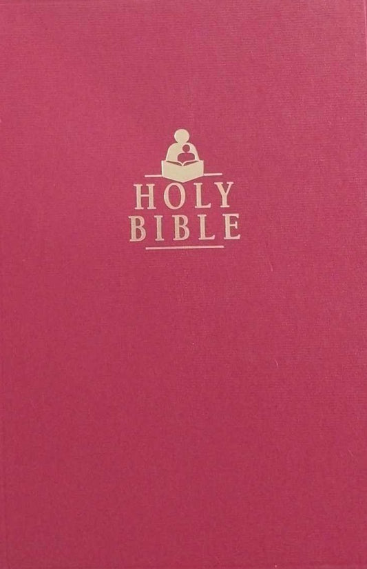 NKJV Children's Ministry Resource Bible image 0
