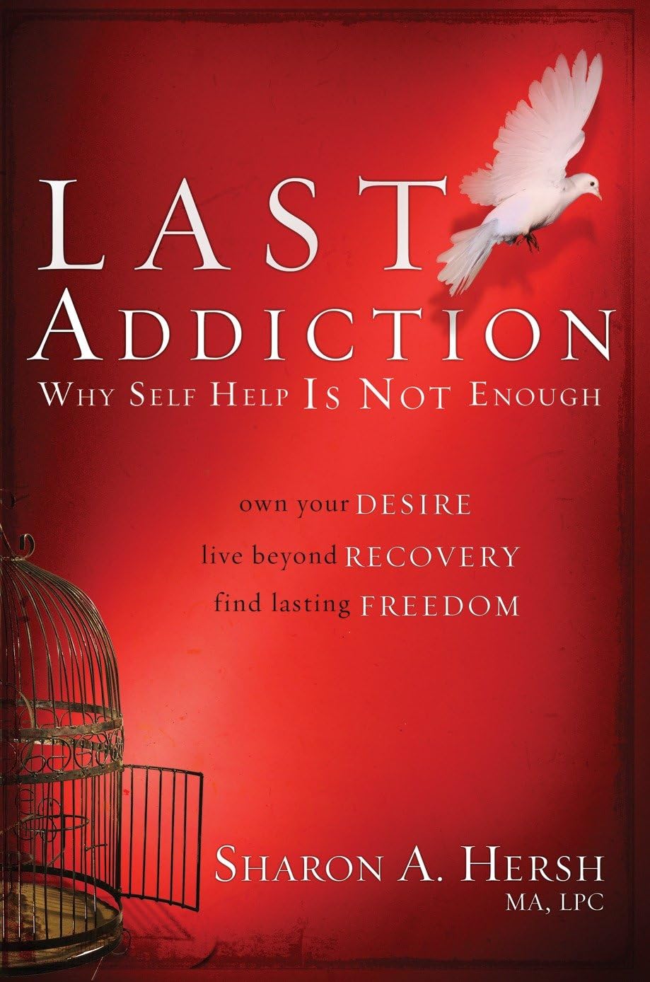 Last Addiction by Sharon A. Hersh image 0