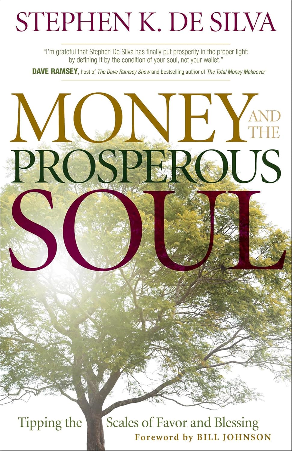 Money and the Prosperous Soul by Stephen K. De Silva image 0