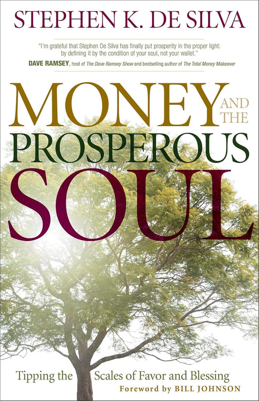 Money and the Prosperous Soul by Stephen K. De Silva image 0