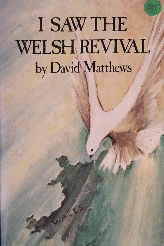 I Saw The Welsh Revival by David Matthews image 0
