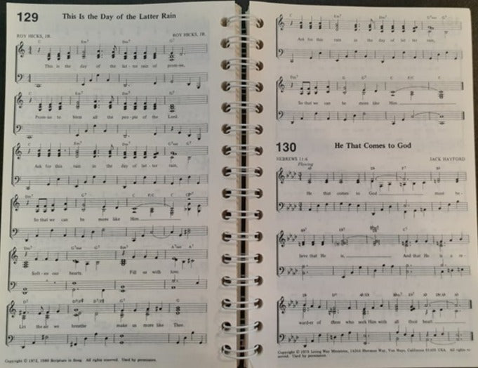 Scripture In Song image 4