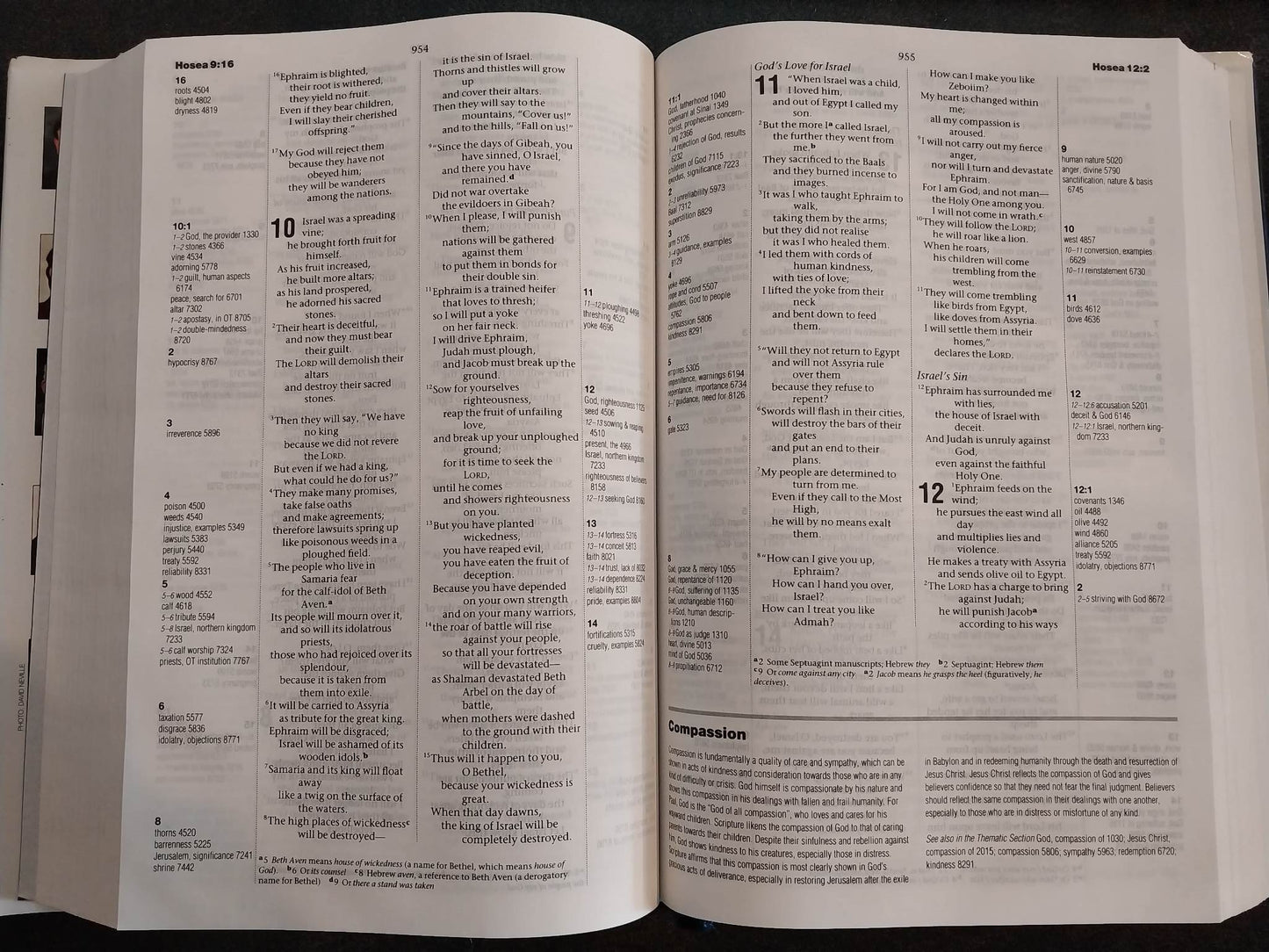 The NIV Thematic Study Bible image 1