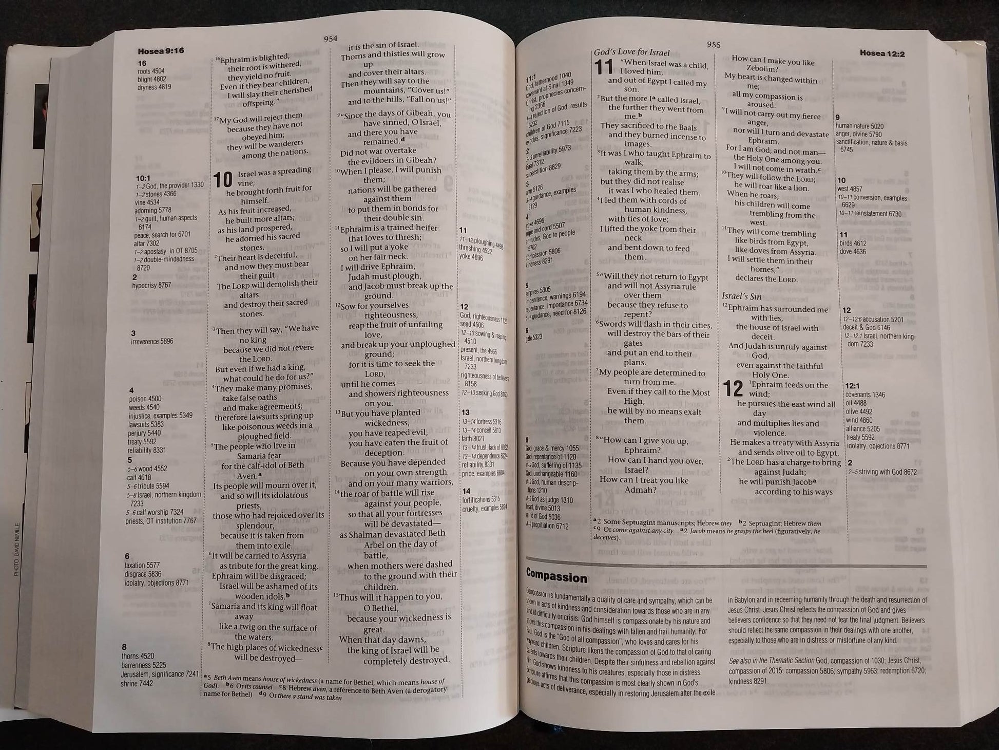 The NIV Thematic Study Bible image 1