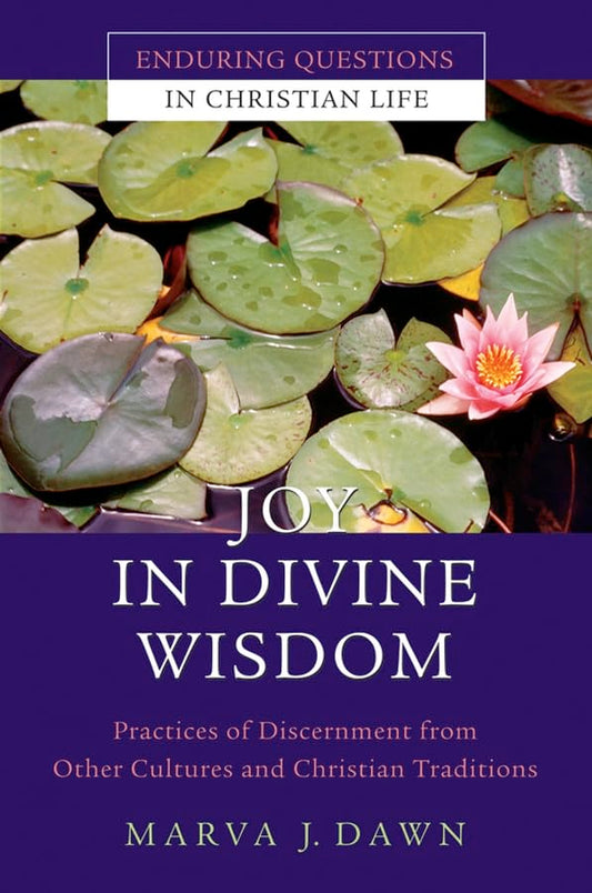 Joy In Divine Wisdom by Marva J. Dawn image 0