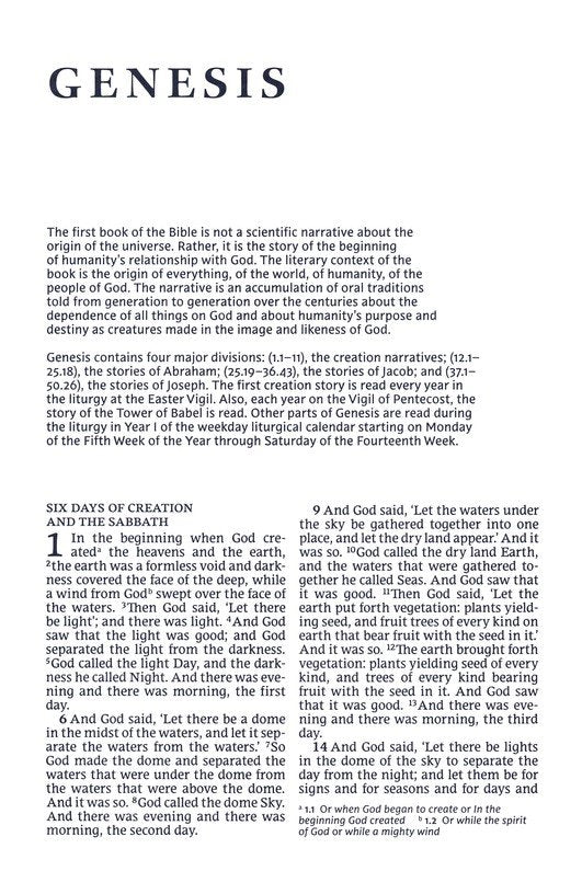 NRSV Catholic Bible, Large Print, Comfort Print, Leathersoft, Brown